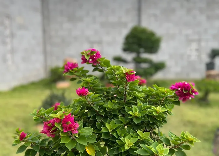 Moc Home Garden