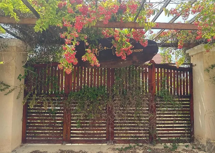 Orchid Homestay