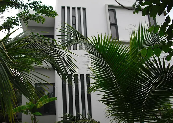 Van Nguyen Minihouse