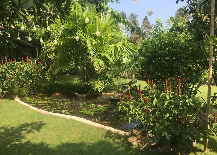 Le Jardin D'Alice